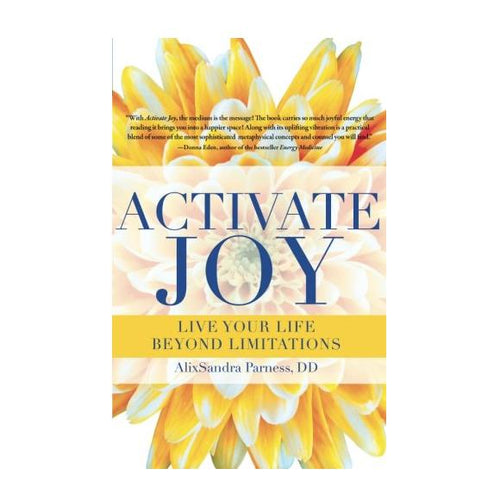 Activate Joy by Alixsandra Parness