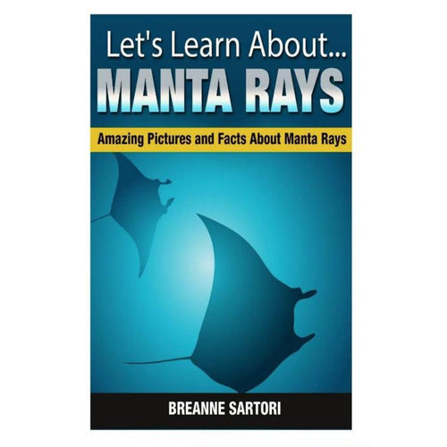 Amazing Pictures and Facts about Manta Rays by Breanne Sartori