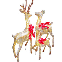 Load image into Gallery viewer, Reindeer Family with LED lights Set of 3
