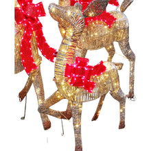 Load image into Gallery viewer, Reindeer Family with LED lights Set of 3
