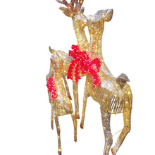 Load image into Gallery viewer, Reindeer Family with LED lights Set of 3-Liquidation Store
