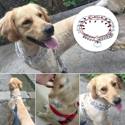 Pettom Durable Chrome Plated Dog Training Collar Large/60cm