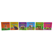 Load image into Gallery viewer, DK My Animal World Board Book Collection for Little Learners 6 Books
