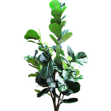 Load image into Gallery viewer, Faux 3.05 m (10 ft.) Fiddle Leaf Fig Tree with Planter
