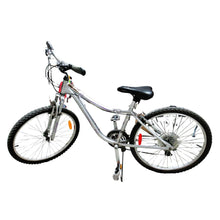 Load image into Gallery viewer, Infinity Canyon Bike 24 in. 21 Speed Grey
