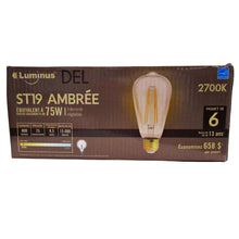 Load image into Gallery viewer, Luminus ST19 LED Bulb Pack of 6
