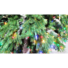 Load image into Gallery viewer, National Tree Company 10 Ft. Jersey Fraser Fir Medium Tree with Dual Color LED Lights - 10 Foot
