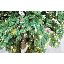 Load image into Gallery viewer, National Tree Company 10 Ft. Jersey Fraser Fir Medium Tree with Dual Color LED Lights - 10 Foot-Liquidation Store
