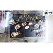 Load image into Gallery viewer, Nativity Scene 13 Piece Display Unit-Liquidation Store
