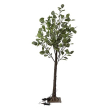 Load image into Gallery viewer, Small Lit (lights DO NOT work) Eucalyptus Tree 6&#39;
