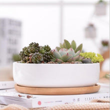 Load image into Gallery viewer, Succulent Planter Ceramic with Bamboo Tray White
