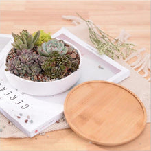 Load image into Gallery viewer, Succulent Planter Ceramic with Bamboo Tray White
