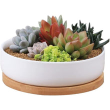 Load image into Gallery viewer, Succulent Planter Ceramic with Bamboo Tray White
