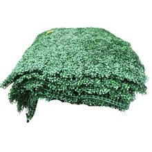 Load image into Gallery viewer, Golden Select Boxwood Artificial Hedge Panel with Lights  4 Pack
