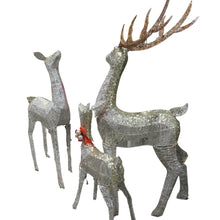 Load image into Gallery viewer, Lighted Deer Family Set 3 Pieces
