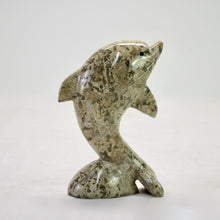Load image into Gallery viewer, BMFC Coral Fossil Dolphin 6&quot;
