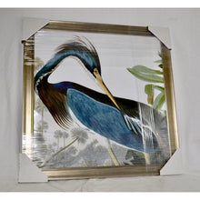 Load image into Gallery viewer, Louisiana Heron Print by John James Audubon
