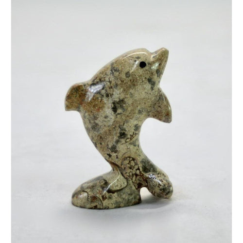 BMFC Coral Fossil Dolphin 3