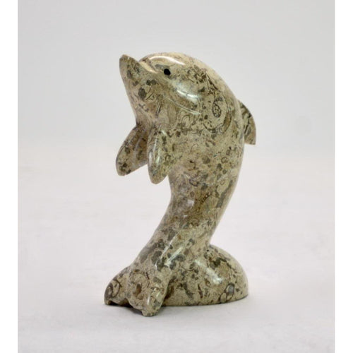 BMFC Coral Fossil Dolphin 6