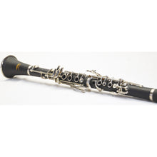 Load image into Gallery viewer, Jean Paul Student Clarinet, CL-300 Student Set With Carrying Case
