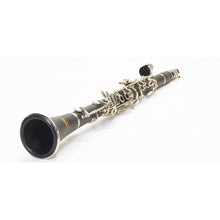 Load image into Gallery viewer, Jean Paul Student Clarinet, CL-300 Student Set With Carrying Case
