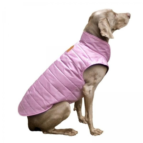Scooter's Friends Puffy Dog Coat Pink Peony Size 30