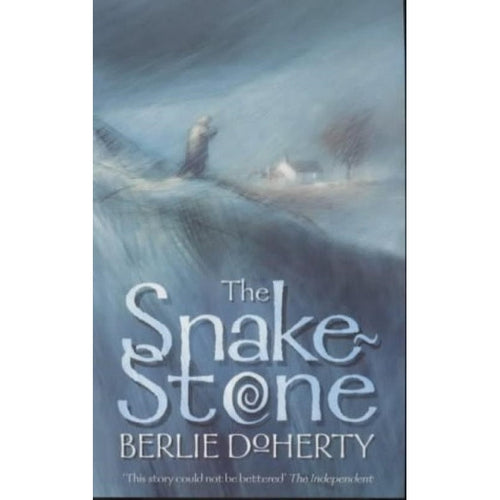 The Snake Stone by Berlie Doherty